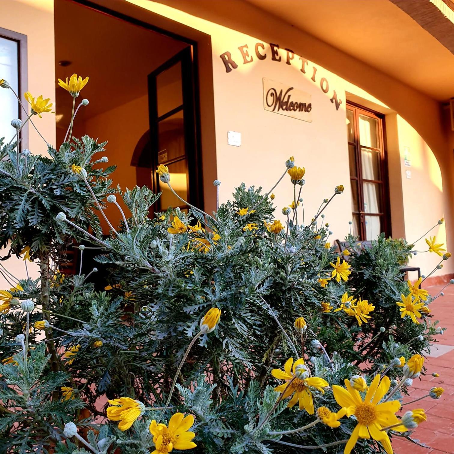 Appartamento Borgo di Pomaia Esterno foto